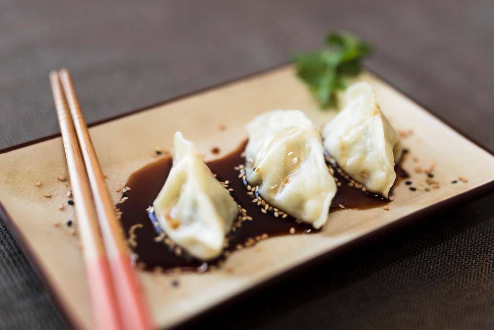 ilustrasi gyoza