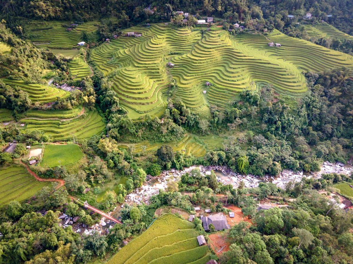 ilustrasi pemandangan sawah di Filipina (pexels.com/Quang Nguyen Vinh)