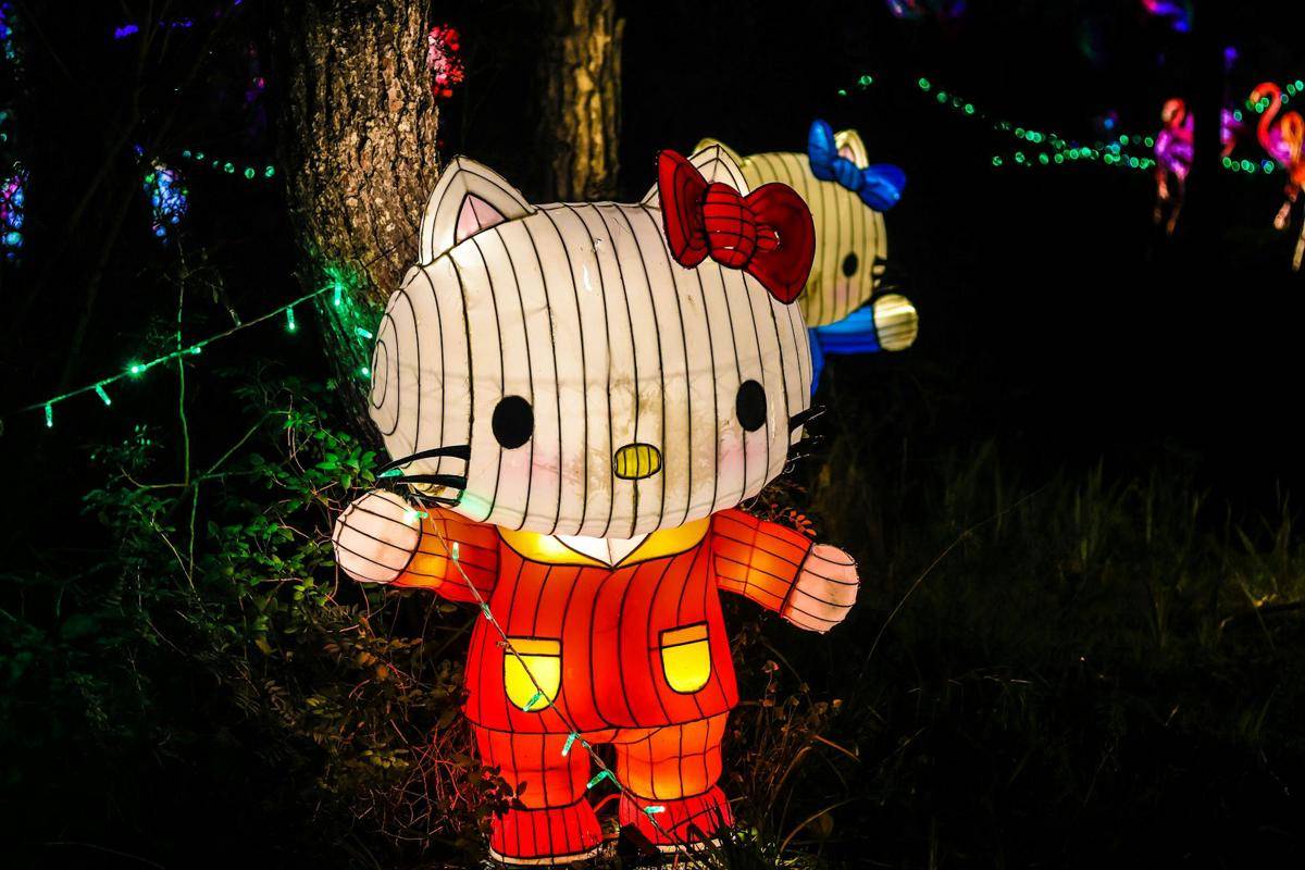ilustrasi Taman Lampion (pexels.com/Matthew Tabone)