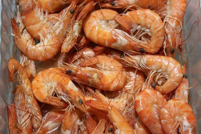 ilustrasi udang segar 