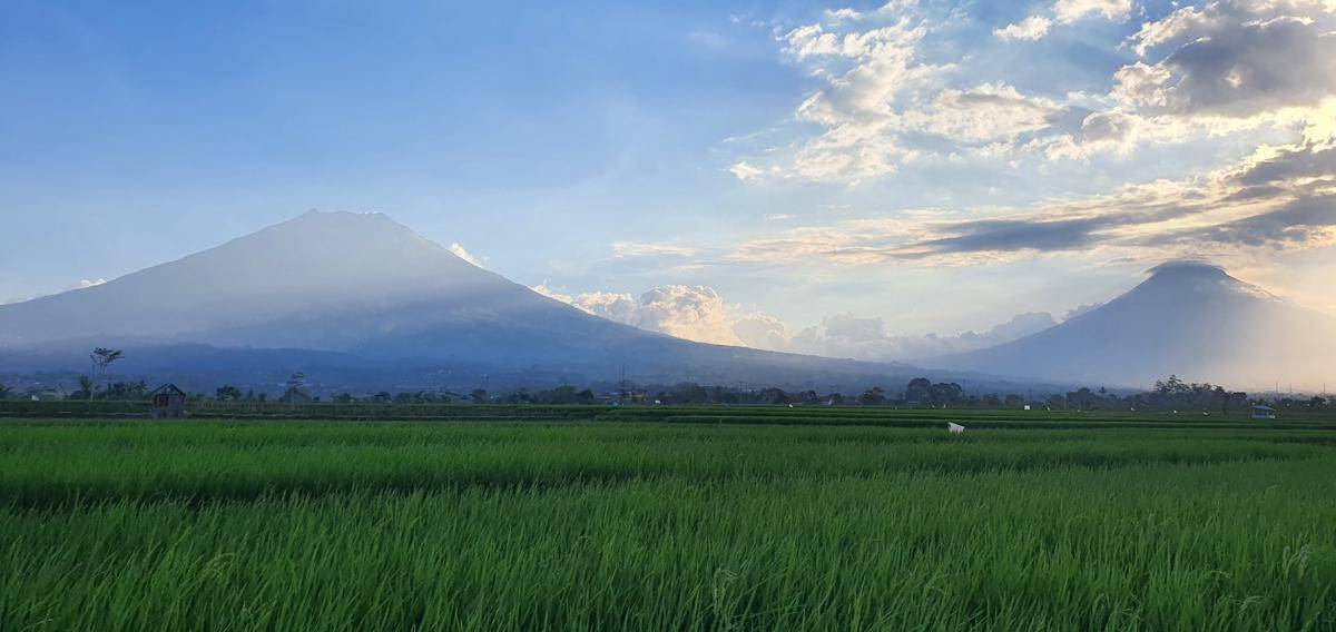Kawasan Pertanian Dekat Gunung Sumbing (unsplash.com/Distributor Madu Sidr 0813-8835-8676)