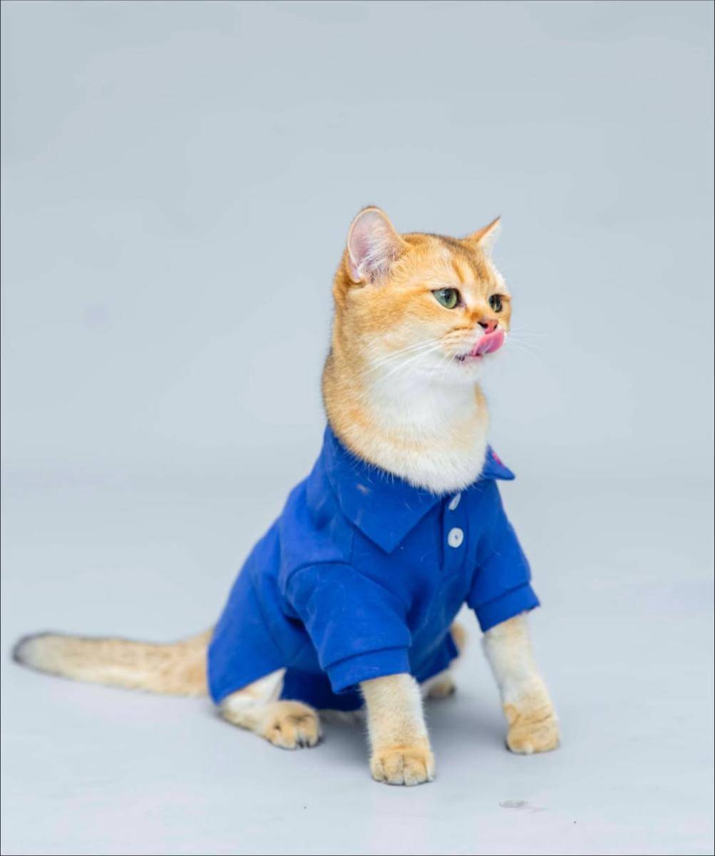 potret Marini Zumarnis dan kucing kesayangan