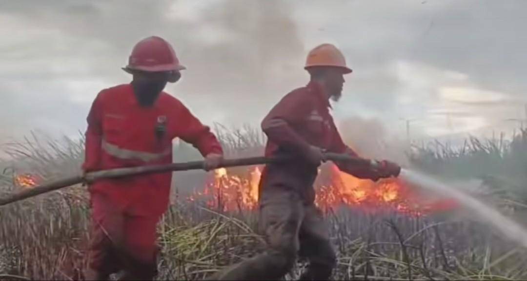 Petugas gabungan melakukan pemadaman di Ogan Ilir. (Dok. Manggala Agni)
