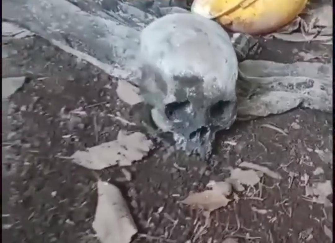 Penemuan kerangka manusia di pondok kebun karet Kecamatan Sungai Lilin Kabupaten Muba. (Dok. Istimewa)