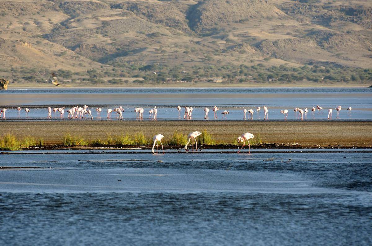Danau Natron