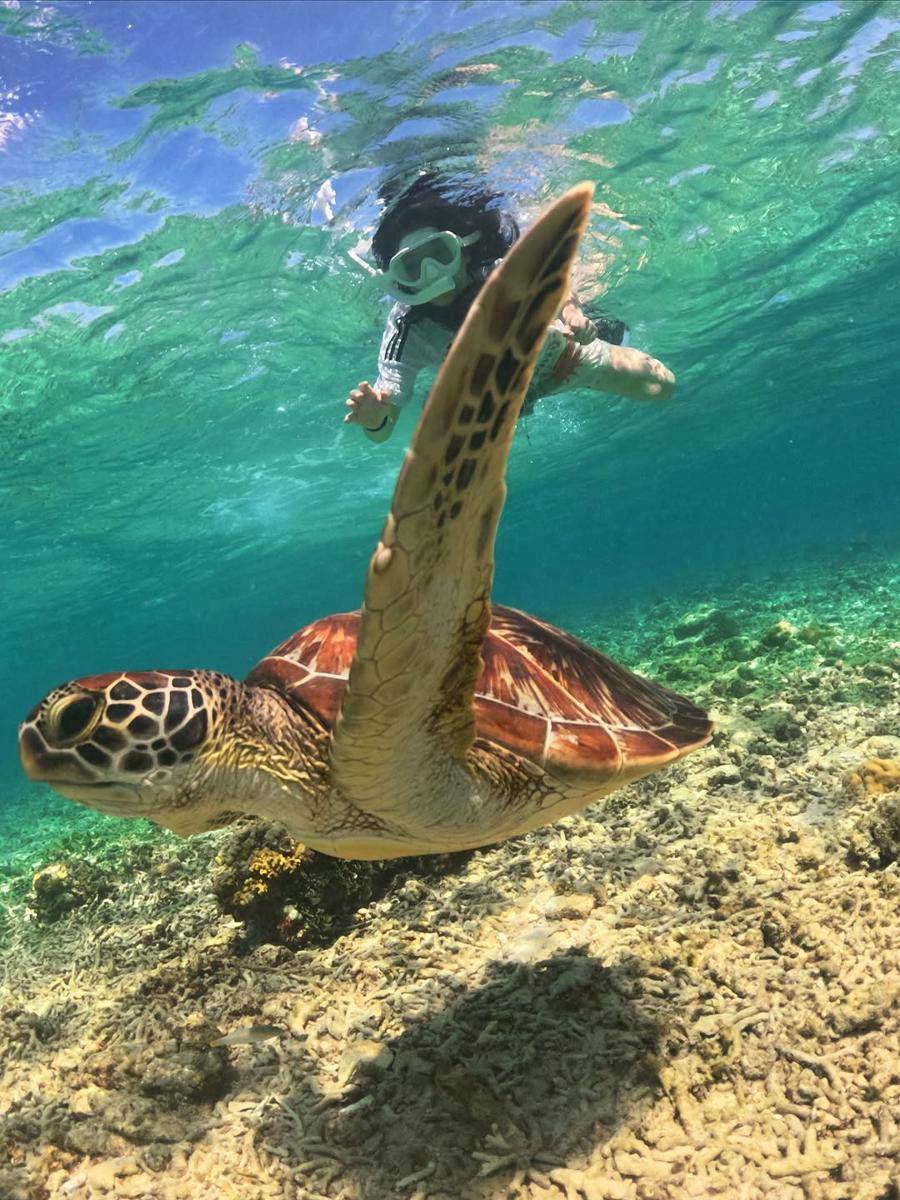 Potret Lee Joo Young, Aktris Itaewon Class Liburan di Gili Trawangan