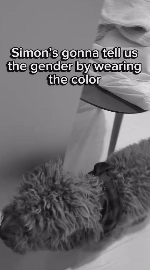 Gender Reveal Kehamilan Aurelie Moeremans
