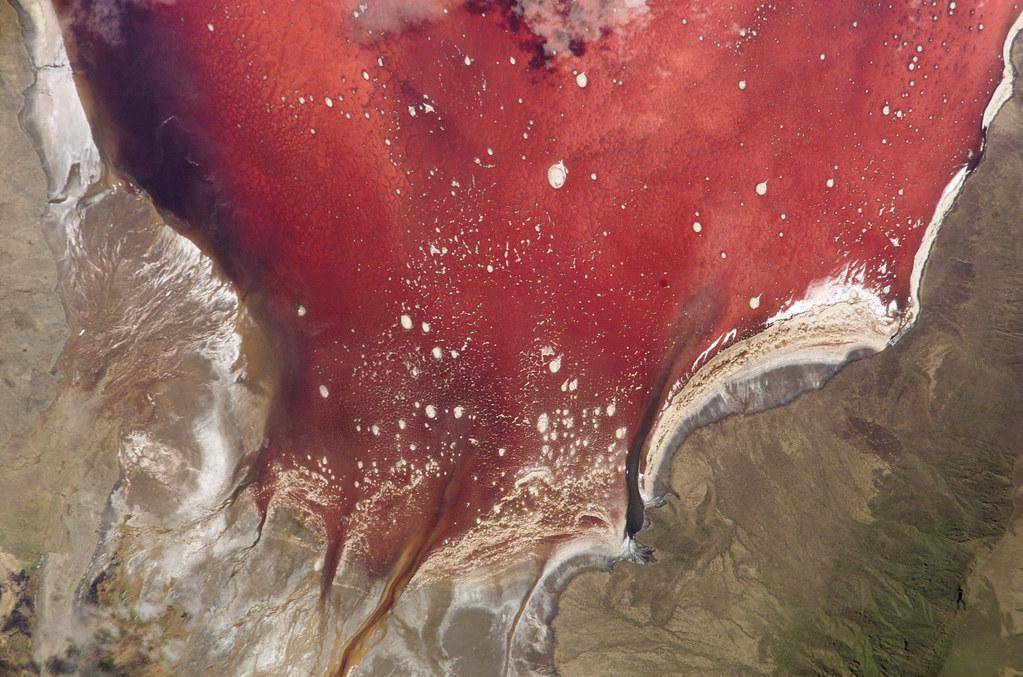 Danau Natron