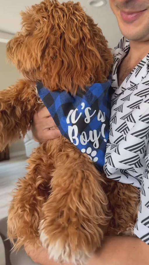 Gender Reveal Kehamilan Aurelie Moeremans