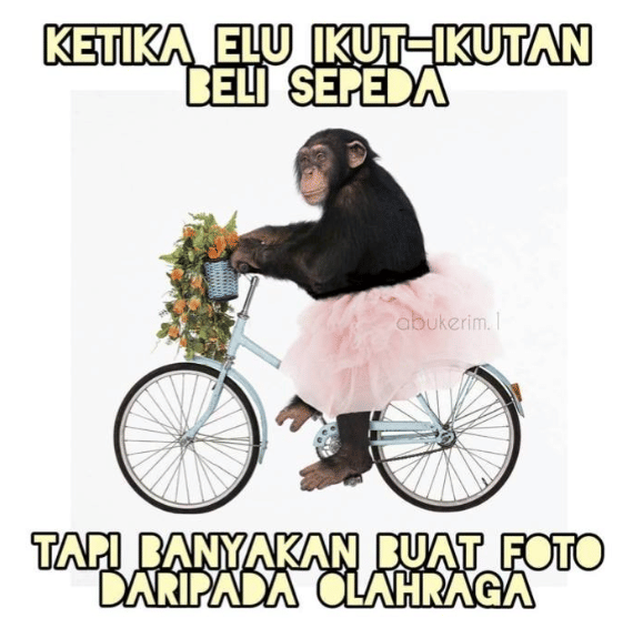 meme sepeda