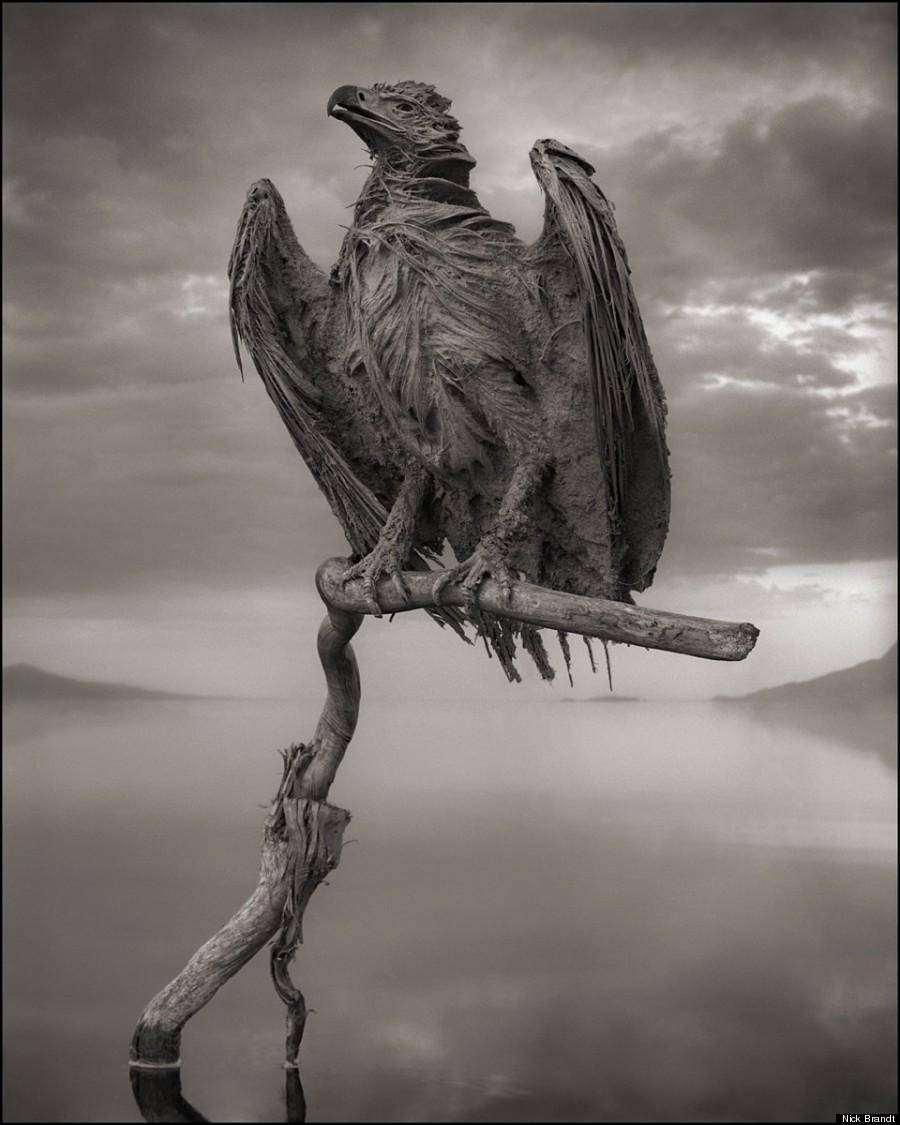 Danau Natron