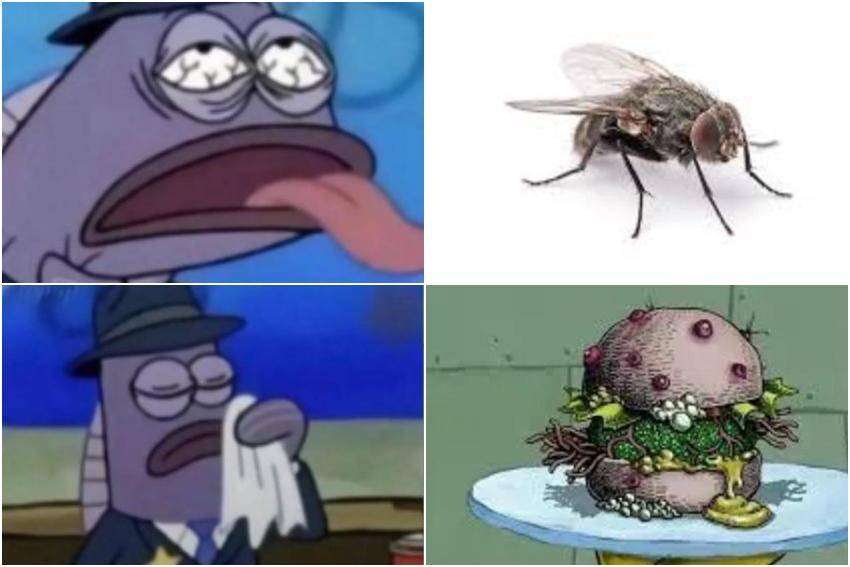 meme inspektur kesehatan dalam kartun SpongeBob