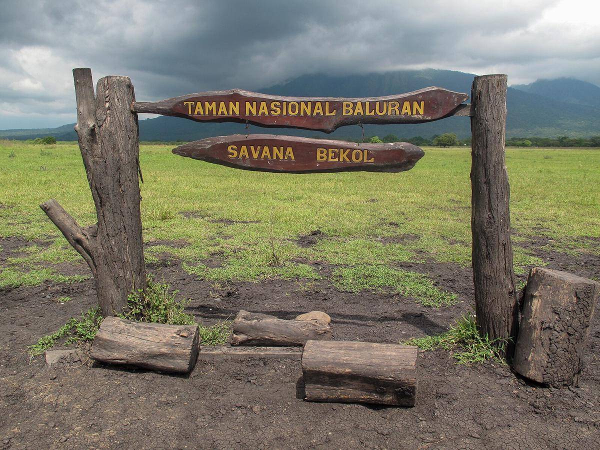 Taman Nasional Baluran