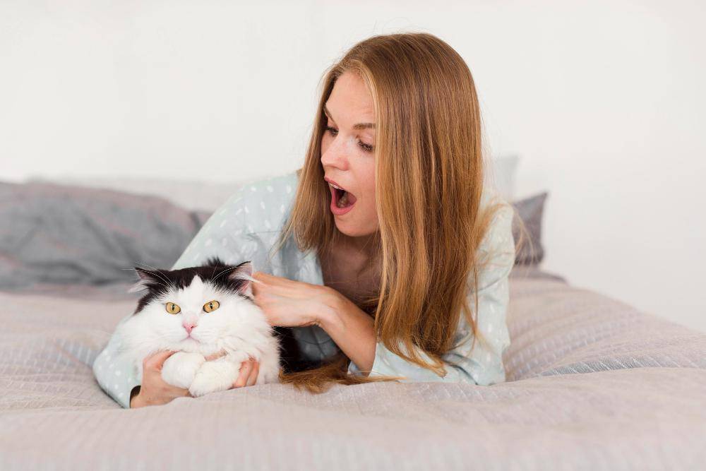 ilustrasi perempuan bermain dengan kucing (freepik.com/freepik)