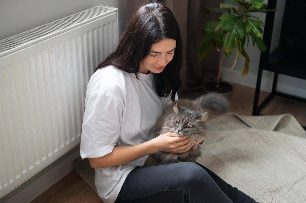 ilustrasi perempuan bermain dengan kucing (freepik.com/freepik)