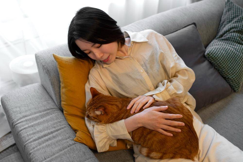 Prompt Gemini AI Edit Foto Bareng Kucing