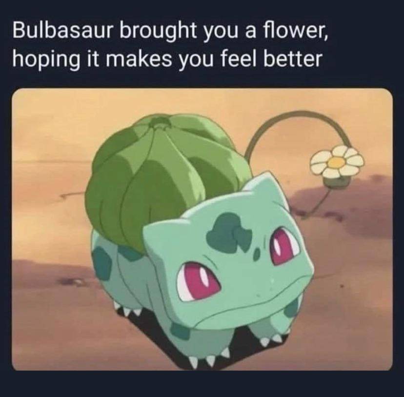 meme Pokémon Bulbasaur