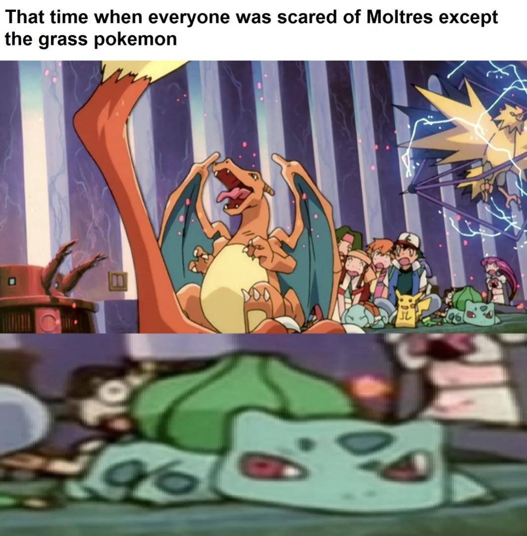 meme Pokémon Bulbasaur