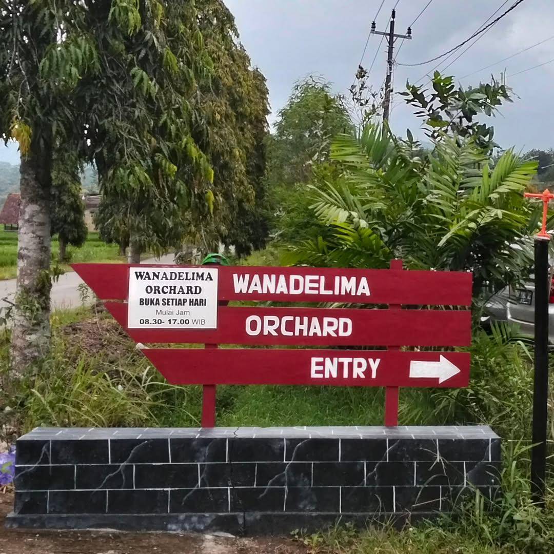 Wanadelima Orchard, Wisata Petik Buah di Kulon Progo