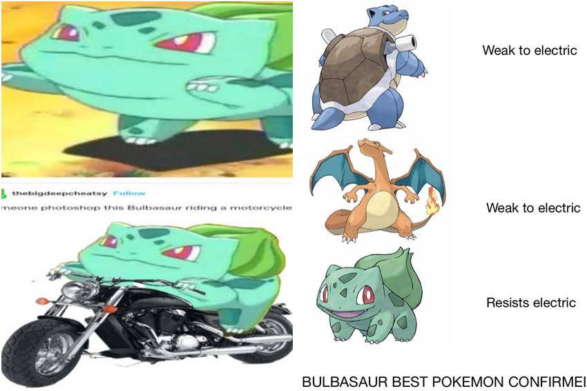 meme Pokémon Bulbasaur