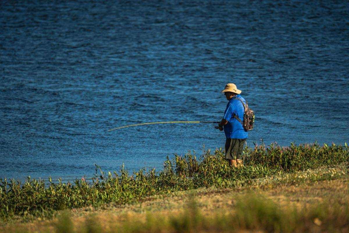 ilustrasi menjaga mental dengan memancing (pexels.com/Robert So)