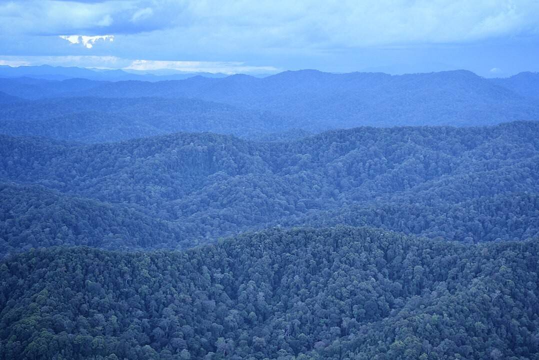 Taman Nasional Betung Kerihun 