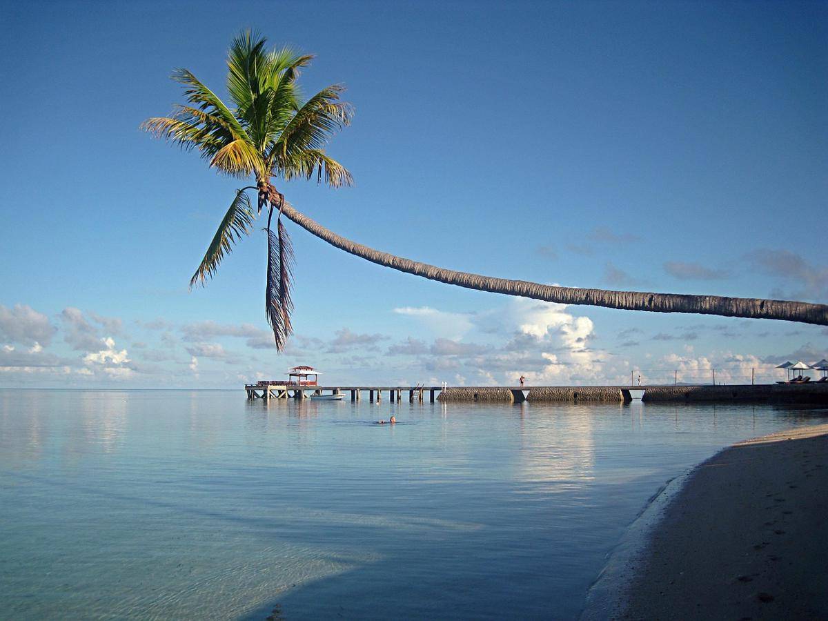 Potret keindahan Wakatobi