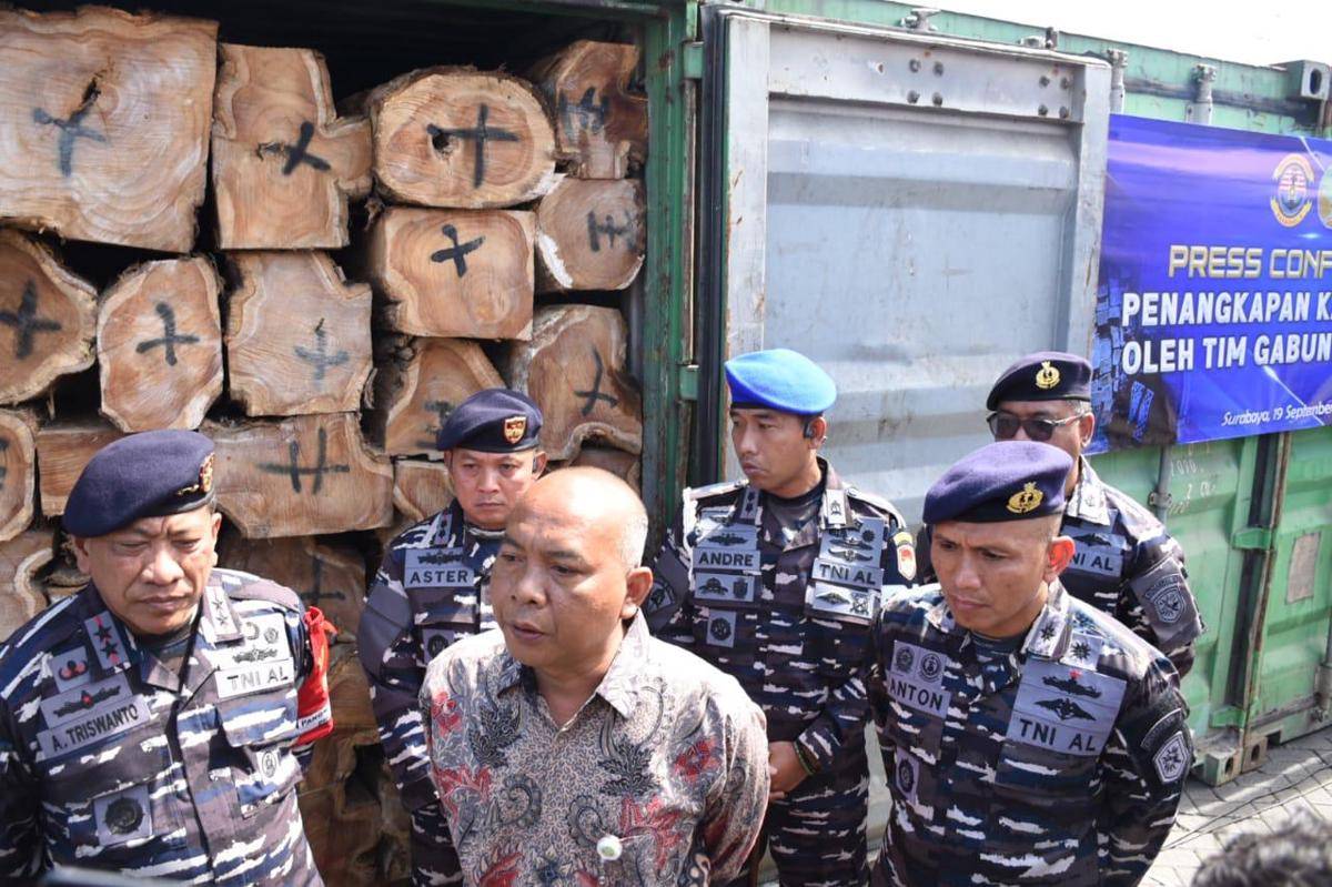 TNI AL melalui Tim Reaksi Cepat Komando Daerah TNI AL (Kodaeral) V menggagalkan upaya penyelundupan kayu ilegal yang merugikan Negara senilai Rp646 juta rupiah di Pelabuhan Tanjung Perak, Surabaya, Jumat (19/9/2025) (dok. Dispenal)