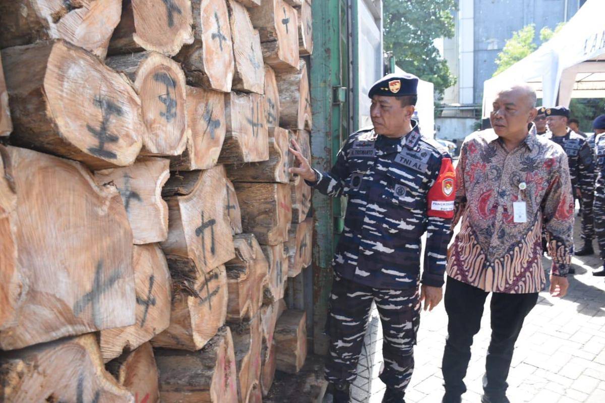 TNI AL melalui Tim Reaksi Cepat Komando Daerah TNI AL (Kodaeral) V menggagalkan upaya penyelundupan kayu ilegal yang merugikan Negara senilai Rp646 juta rupiah di Pelabuhan Tanjung Perak, Surabaya, Jumat (19/9/2025) (dok. Dispenal)