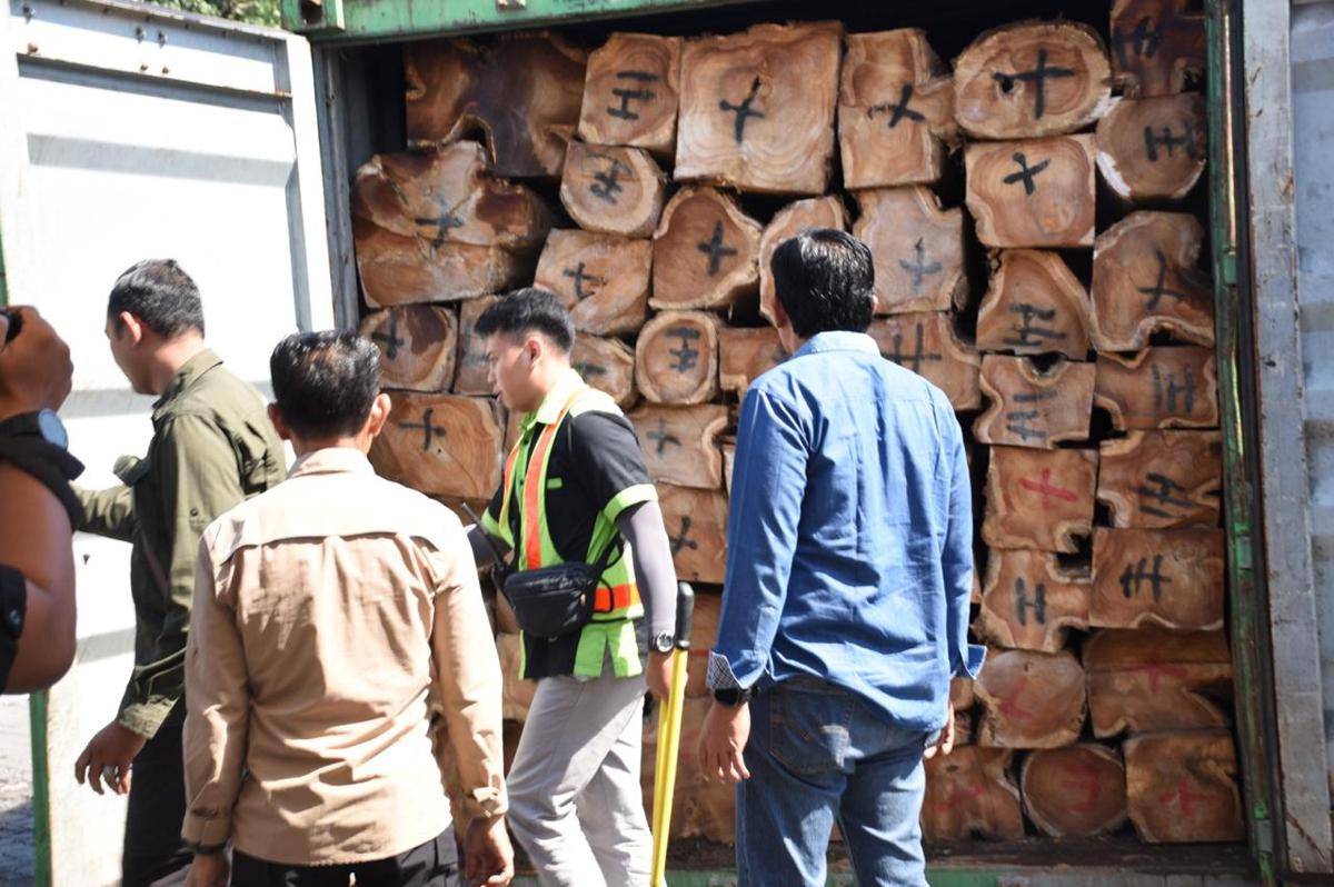 TNI AL melalui Tim Reaksi Cepat Komando Daerah TNI AL (Kodaeral) V menggagalkan upaya penyelundupan kayu ilegal yang merugikan Negara senilai Rp646 juta rupiah di Pelabuhan Tanjung Perak, Surabaya, Jumat (19/9/2025) (dok. Dispenal)