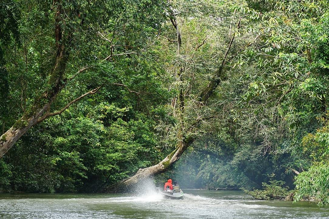 Taman Nasional Bukit Baka Bukit Raya 