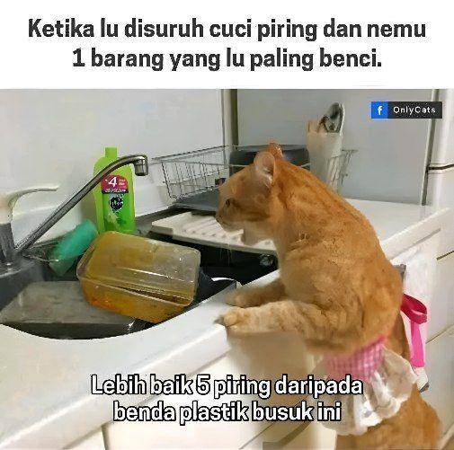 meme cuci piring 