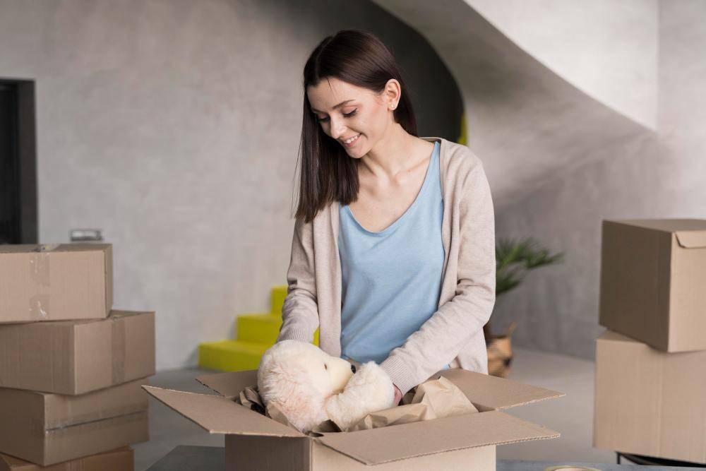 ilustrasi decluttering boneka