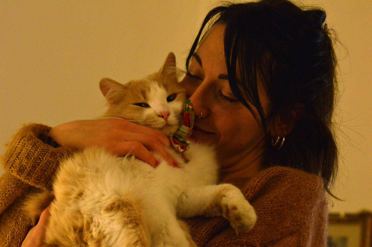 ilustrasi pet sitter (unsplash.com/@alearmi)