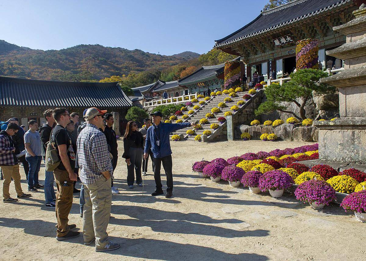 ilustrasi tur di Busan (commons.wikimedia.org/Mario Reyes Villatoro)