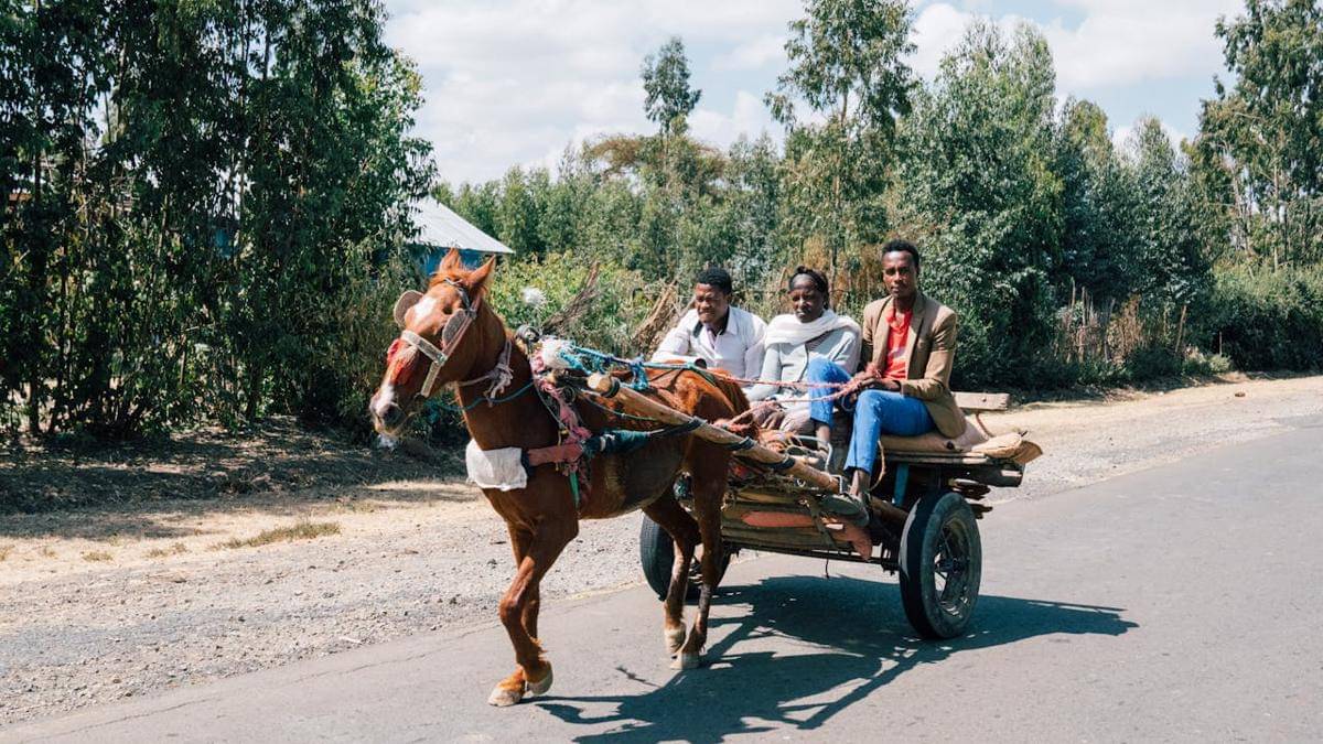ilustrasi penduduk lokal Ethiopia (pexels.com/Kelly)