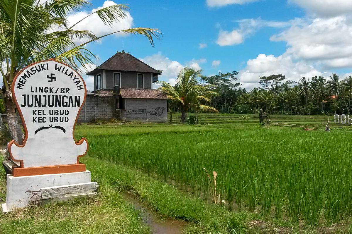 salah satu area persawahan di Ubud (dok.Pribadi/Natalia Indah)