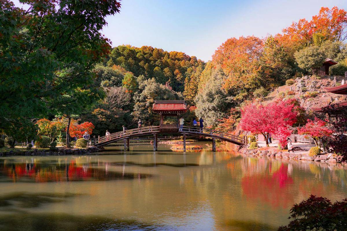 ilustrasi pemandangan musim gugur di Jepang (pexels.com/Edward Sy)