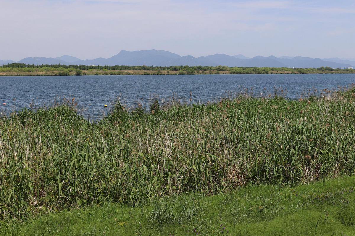Nakdong River