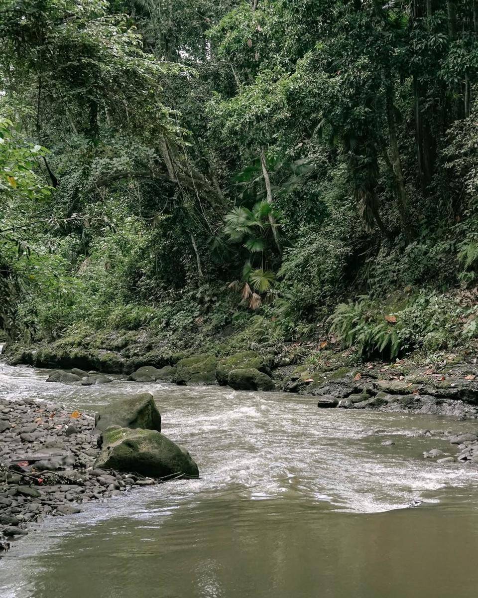 aliran sungai yang tenang di Kemenuh Monkey River (instagram.com/kemenuhmonkeyriver)