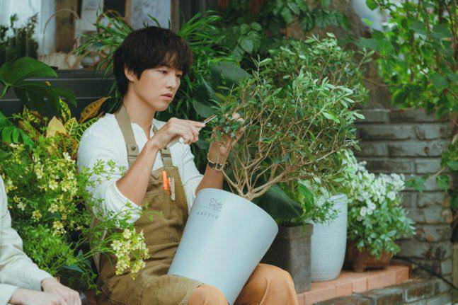 Cuplikan drakor My Youth 