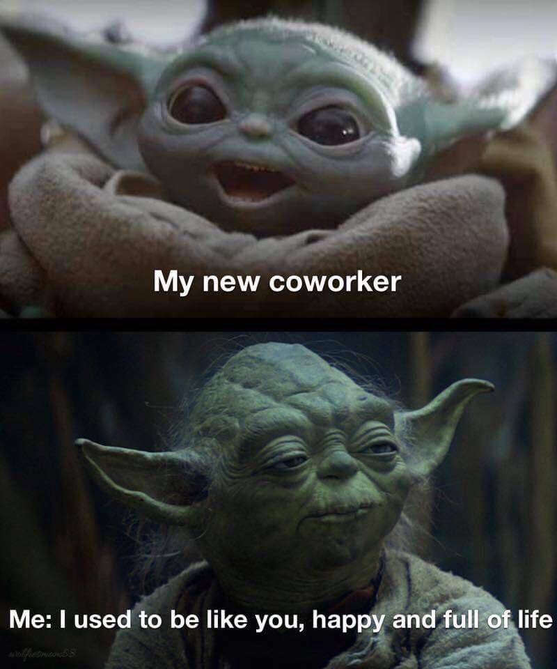 meme tentang rekan kerja