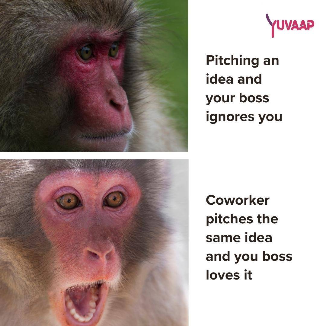 meme tentang rekan kerja