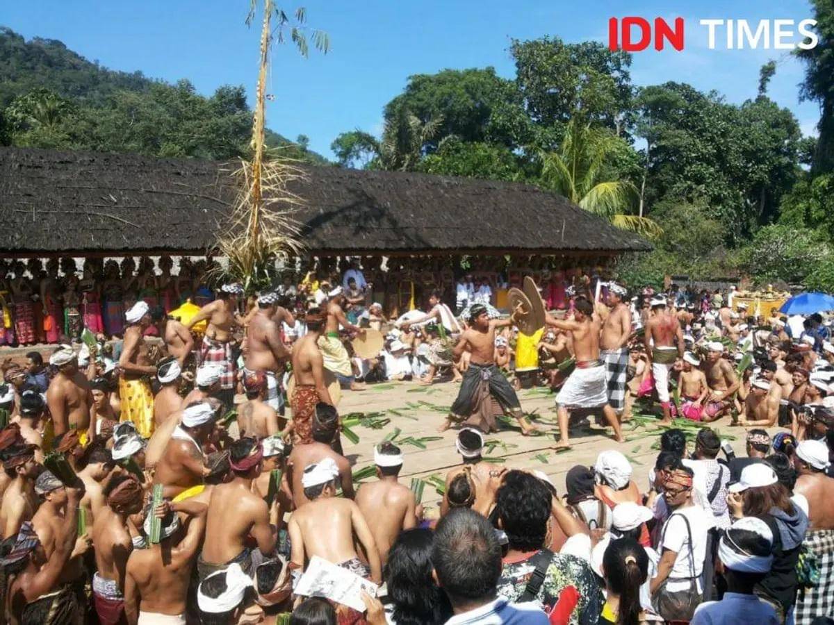 Tradisi Mageret Pandan di Kabupaten Karangasem. (IDN Times/Ni Ketut Sudiani)