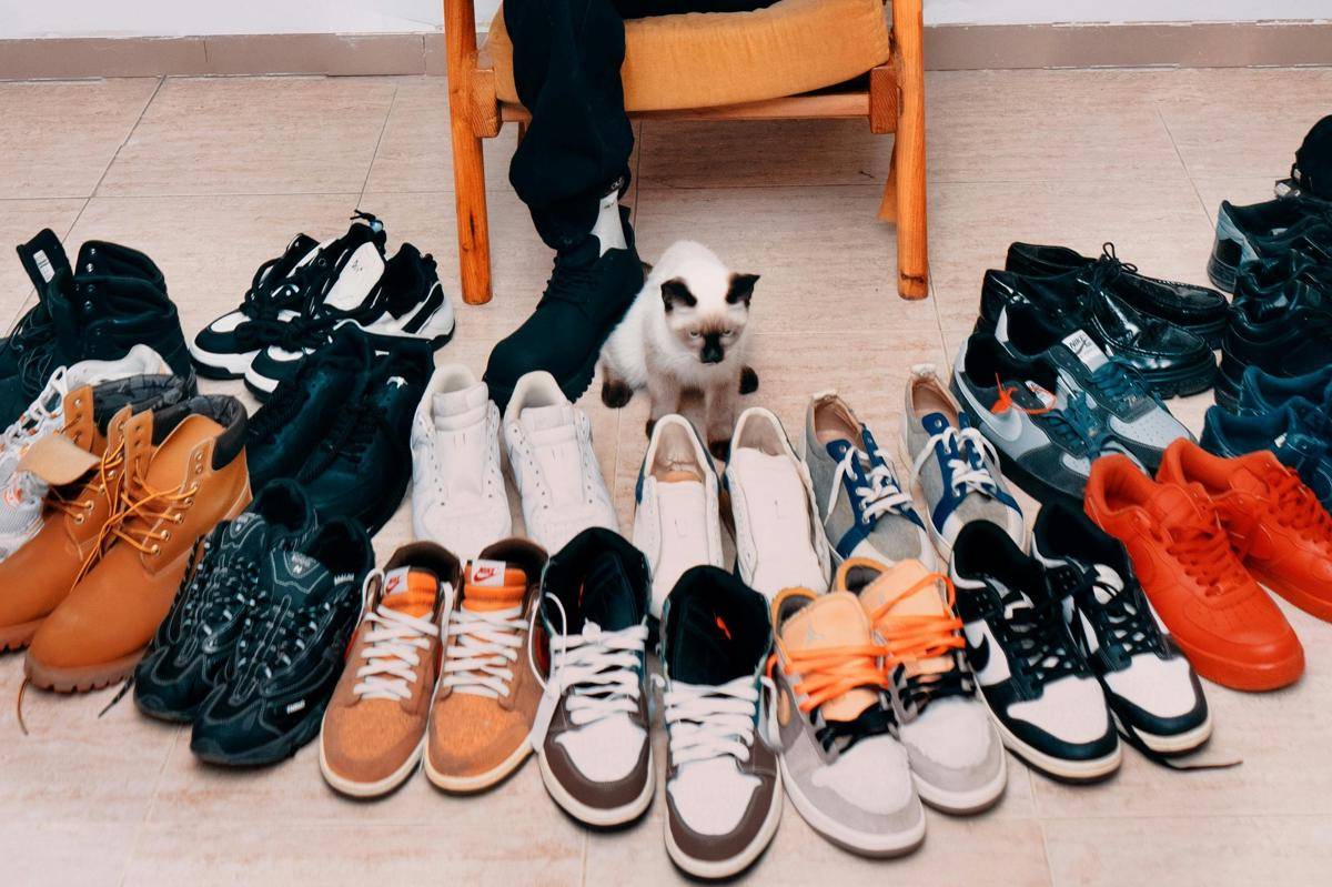 ilustrasi sepatu (pexels.com/Aj Collins Artistry)  