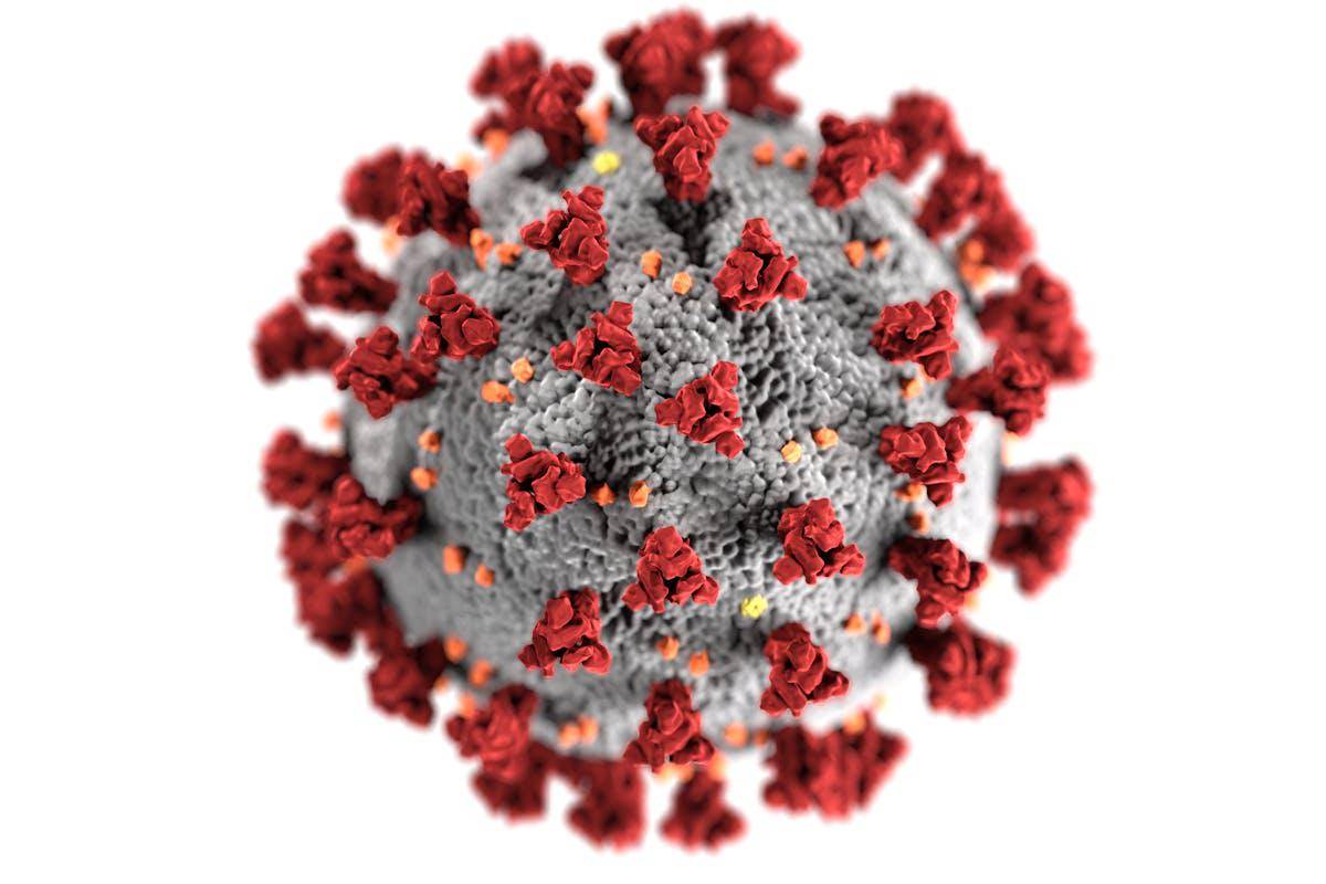 ilustrasi ciri virus (pexels.com/CDC)