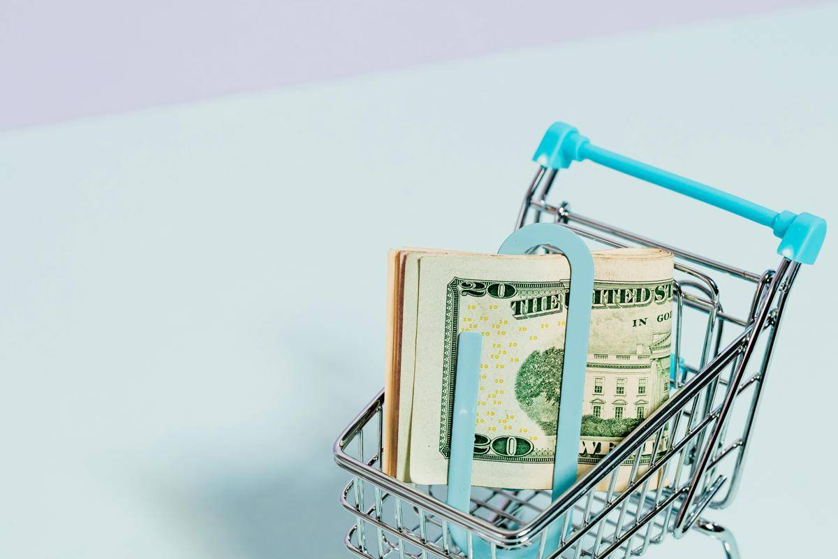 ilustrasi belanja sesuaikan budget (pexels.com/kaboompics)