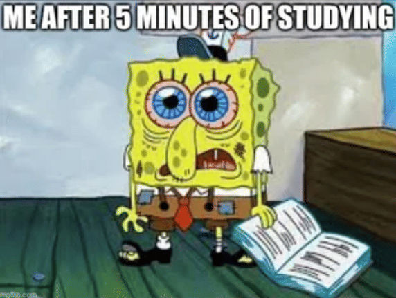 meme SpongeBob tentang malas belajar
