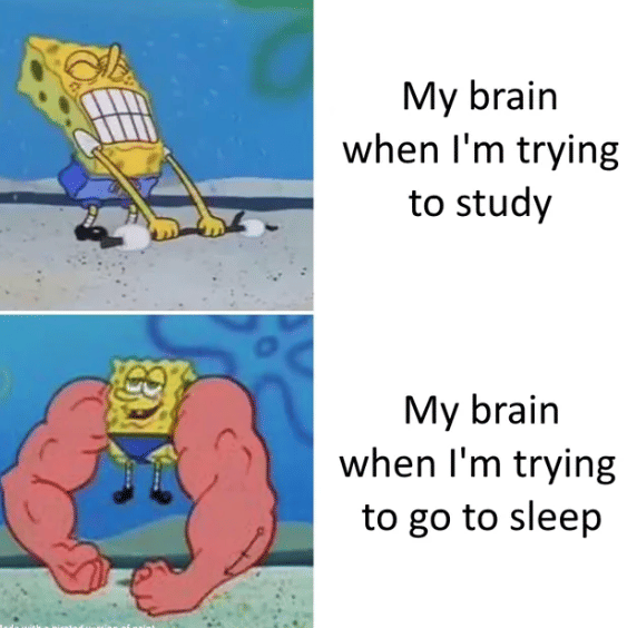 meme SpongeBob tentang malas belajar
