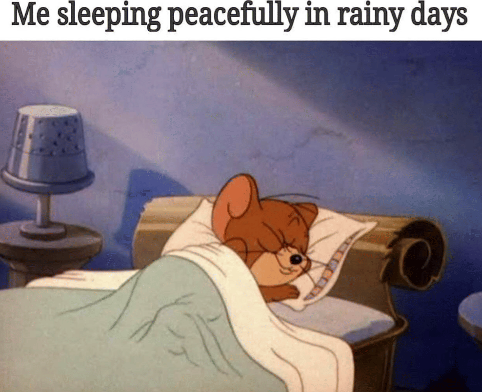 meme Tom and Jerry tentang hobi tidur
